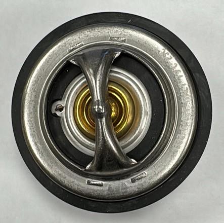 TERMOSTAT MOTORJA CARRARO TRX 8400