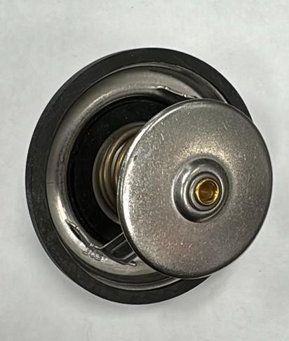 TERMOSTAT MOTORJA CARRARO TRX 8400