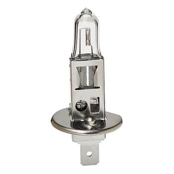 ŽARNICA H1 12V 55W P14/5S