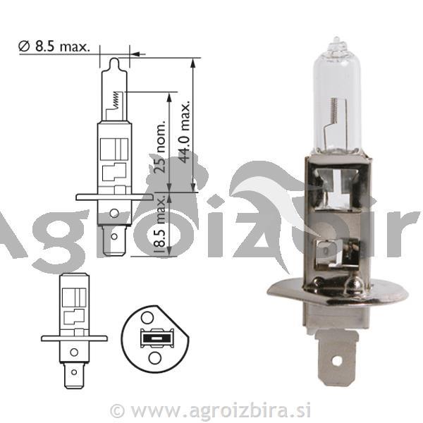 ŽARNICA H1 12V 55W P14/5S
