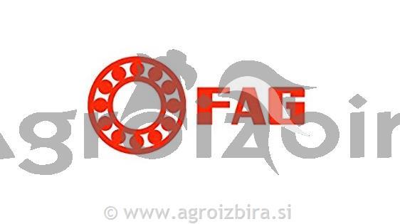 LEŽAJ 6007 FAG
